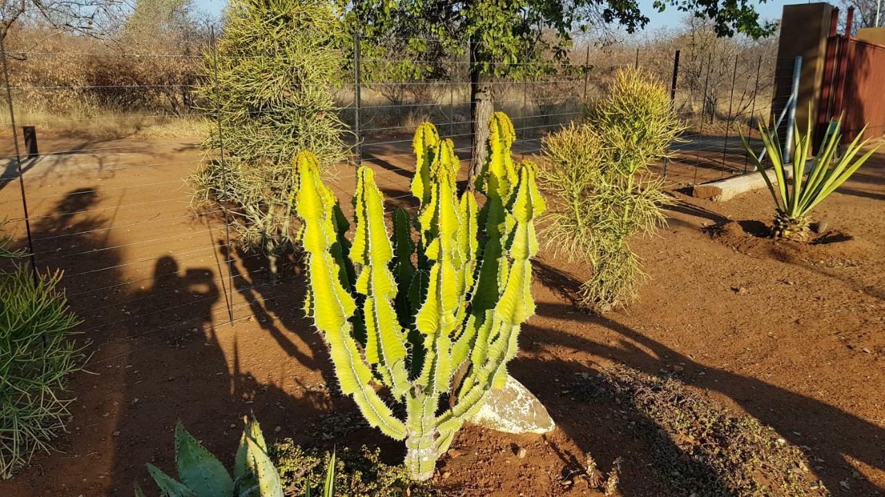 Hornbills Rest Country Home Phalaborwa Exteriör bild