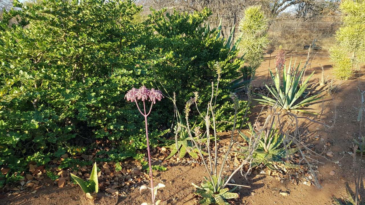 Hornbills Rest Country Home Phalaborwa Exteriör bild